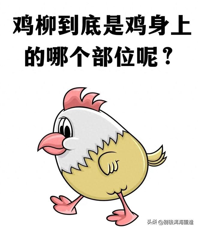 世界杯要变天!豪门纷纷倒下,法国为何成了唯一答案?