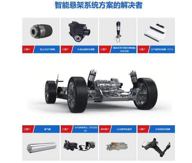 杜锋爱子试训辽宁?赵继伟有了接班人乐坏辽蜜 结果亲妈辟谣了