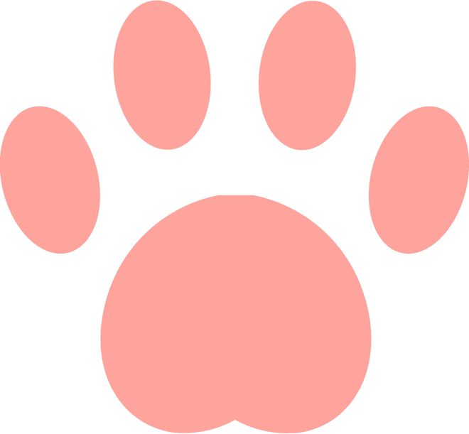 女乒六连冠有四大收获！补偿男乒失意，王曼昱终正名，王励勤安心