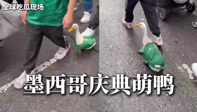太狠了!暴瘦脱了一层壳,不得了啊,大帝,你来真的啊