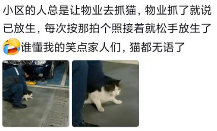 窦骁谈谈自己的婚姻：我性子较真追求完美，但也会为爱情低头认错